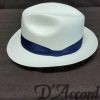 Men's Authentic Panama Hat Navy Band D'Accord